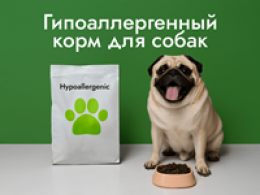Гипоаллергенный корм для собак: как выбрать правильное питание при чувствительности